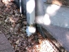 Buried downspout extension